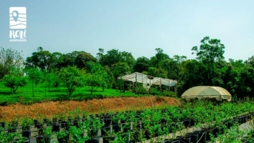 Sítio Campo Verde | Marsilac